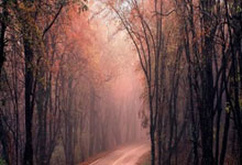 皇马三月最佳候选：维尼修斯、贝林在列，无6场5球的姆巴佩.