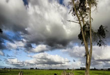 [图]詹姆斯20+14+6 主场117-96大胜凯尔特人.