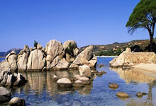 WhoScored单场满分次数榜：梅西119次断层领跑，C罗38次第二.